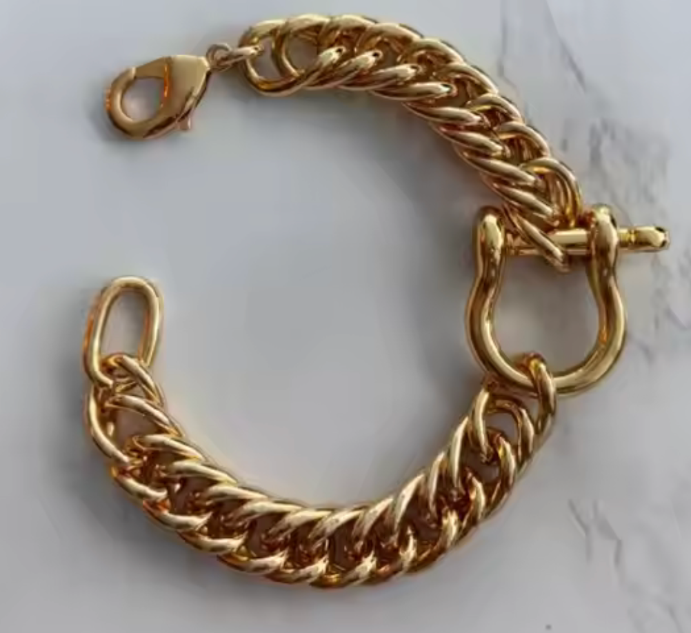 Horse Bit Carabiner Bracelet
