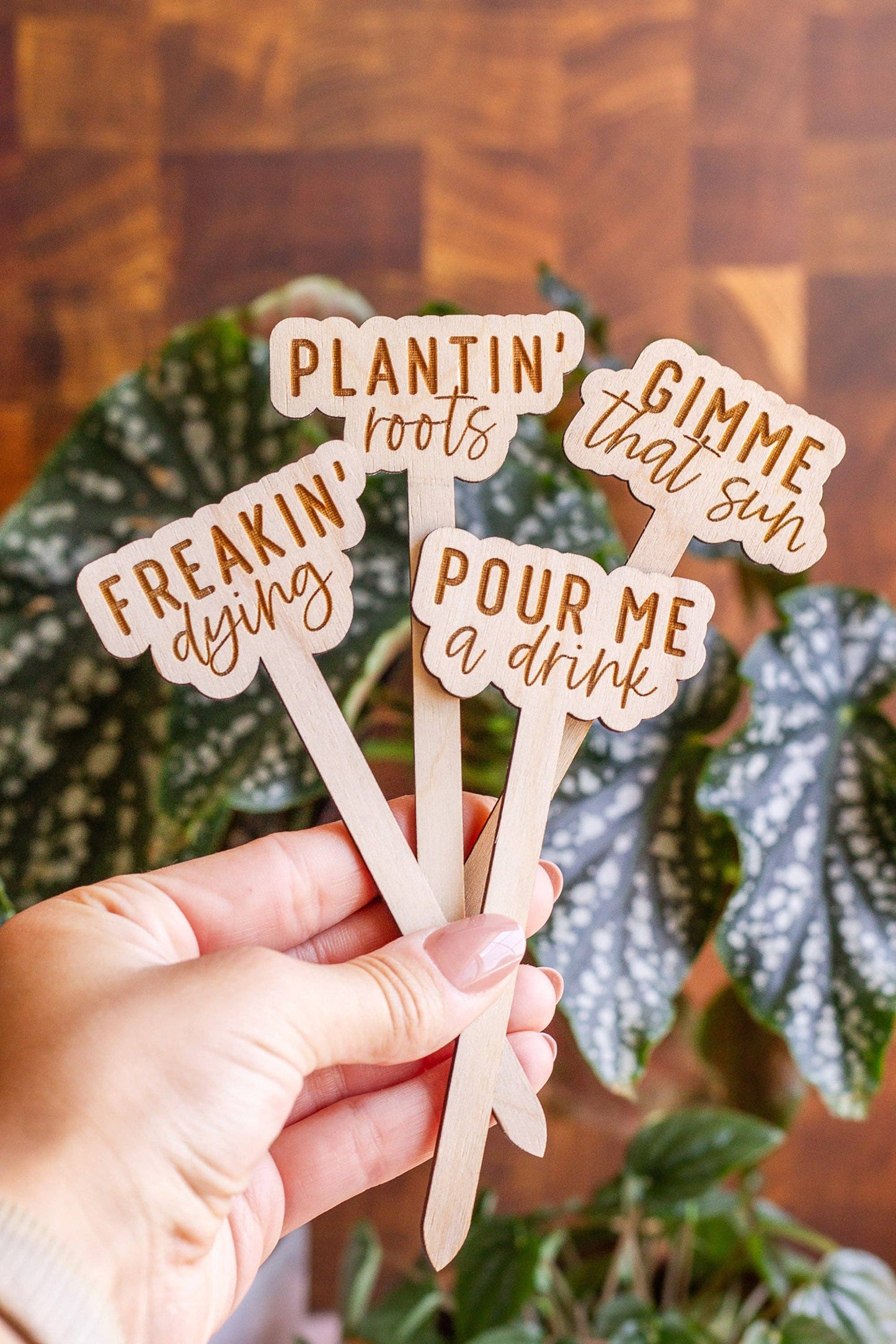 Funny Script Wooden Plant Markers