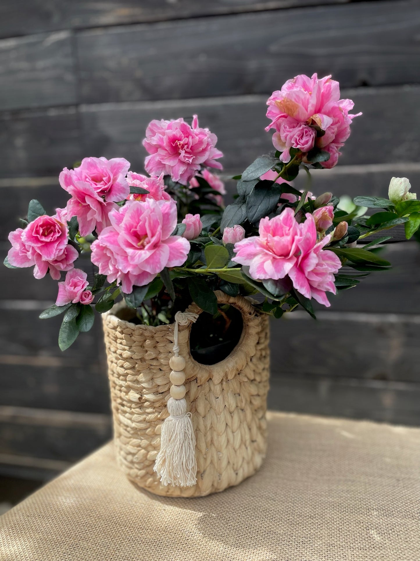 Bag with Tassel Cement Planter: Small