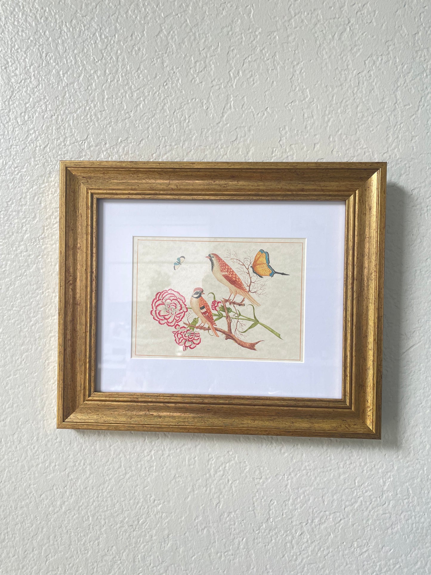 Gold Framed Vintage Inspired Bird Prints