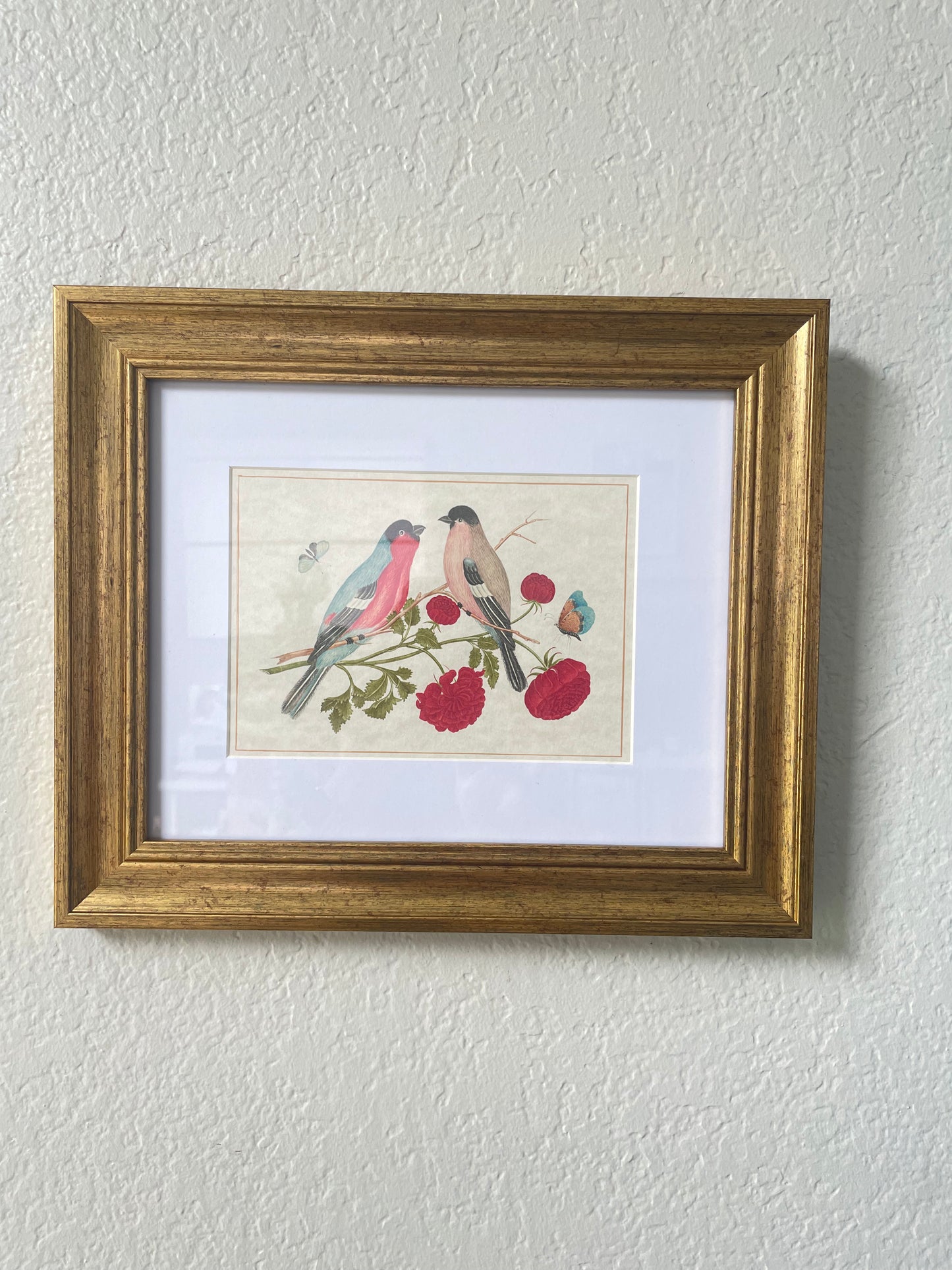 Gold Framed Vintage Inspired Bird Prints