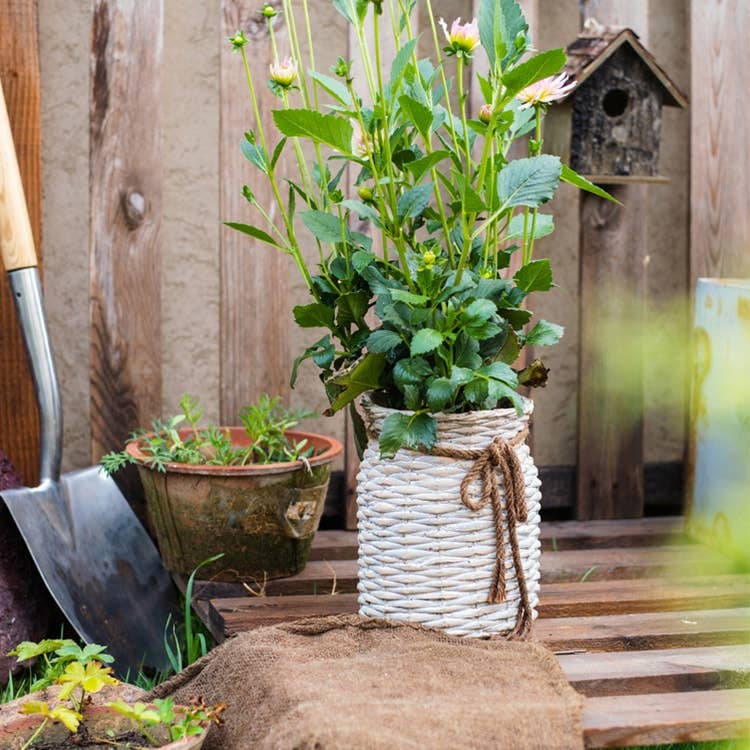 Willow Style Ribbon Concrete Flower Pot