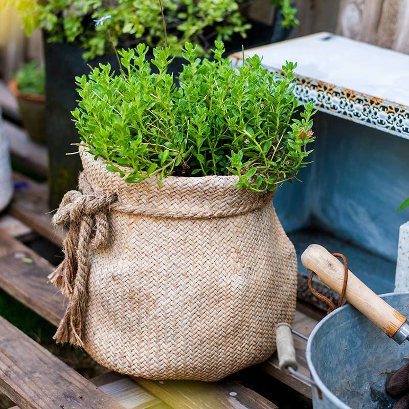 Ribbon Bag Style Concrete Garden Pot: Small