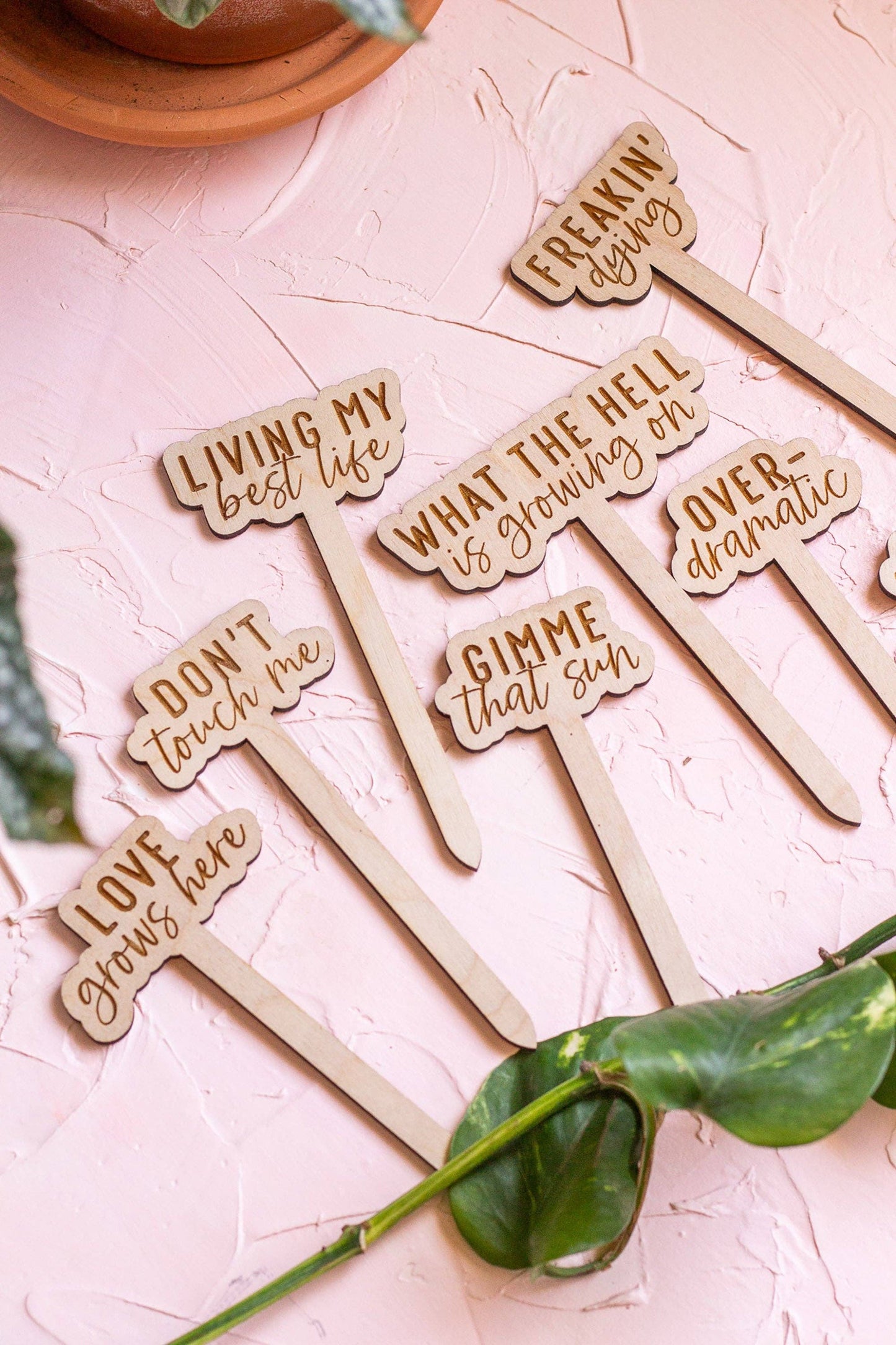 Funny Script Wooden Plant Markers