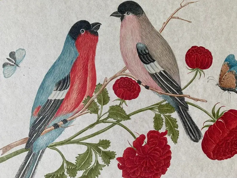 Beautiful Antique Inspired Bird Print w/Matte