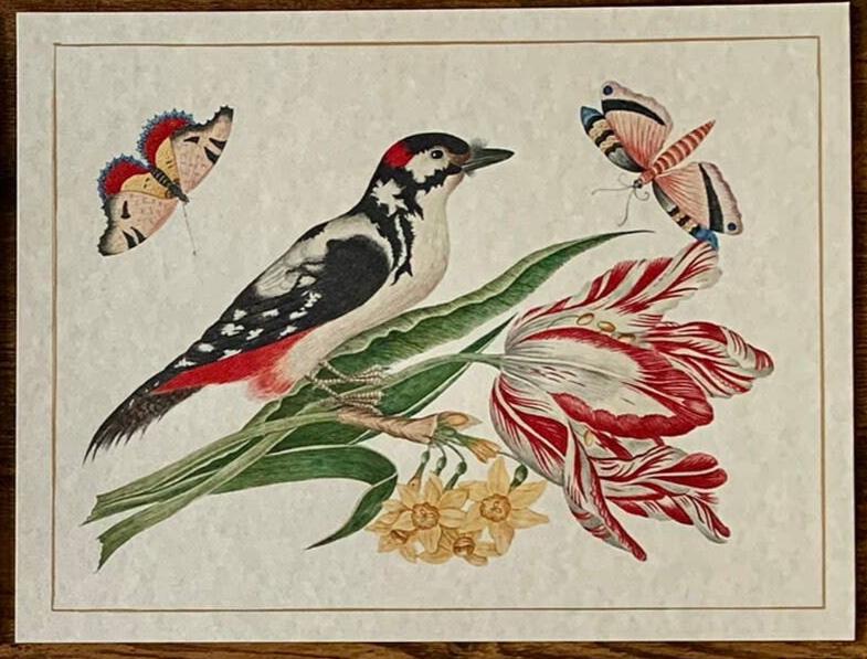 Beautiful Antique Inspired Bird Print w/Matte