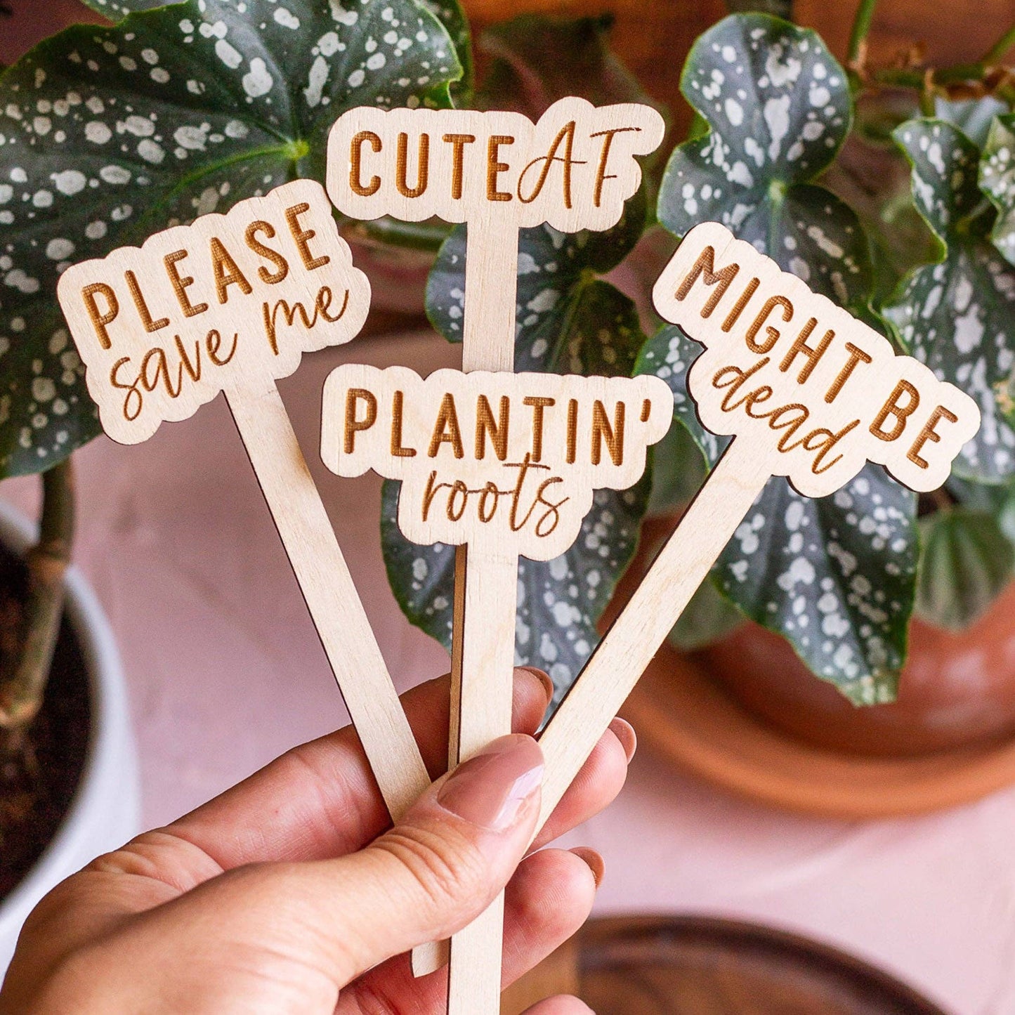 Funny Script Wooden Plant Markers